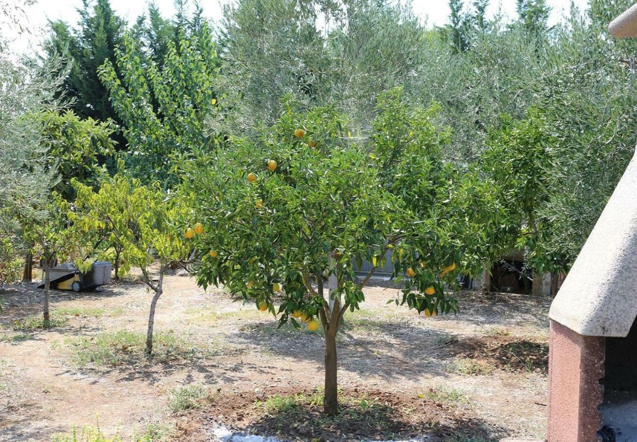 Villa La Piana Peschici Ngoại thất bức ảnh